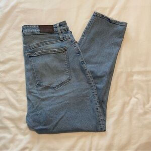 Madewell Curvy Mom Jean - 29